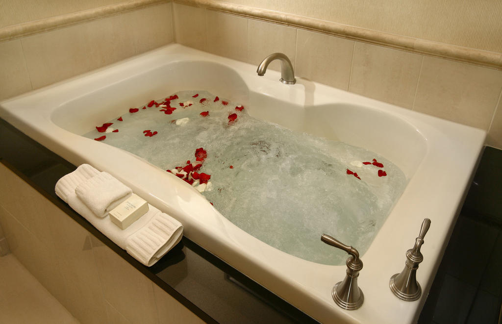 Junior Vista Suite