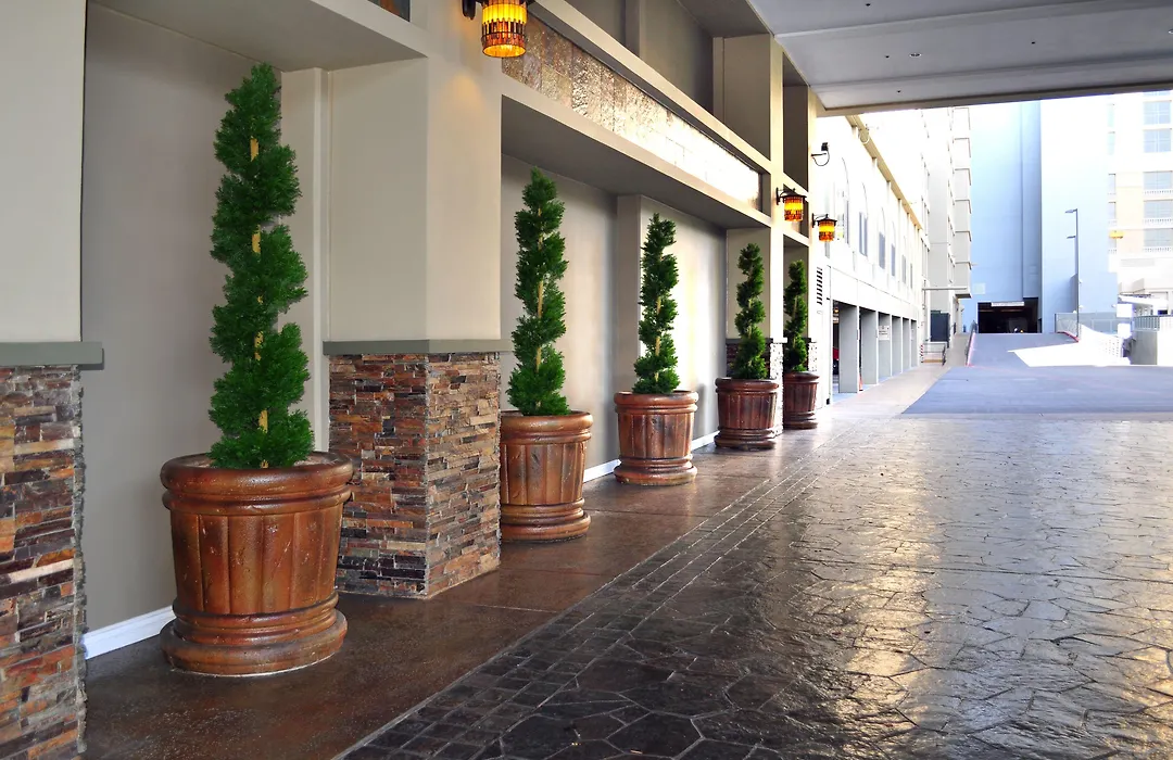 Jockey Club Suites-1